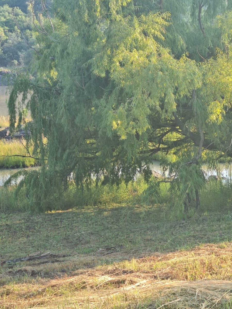 4 Bedroom Property for Sale in Deneysville Free State